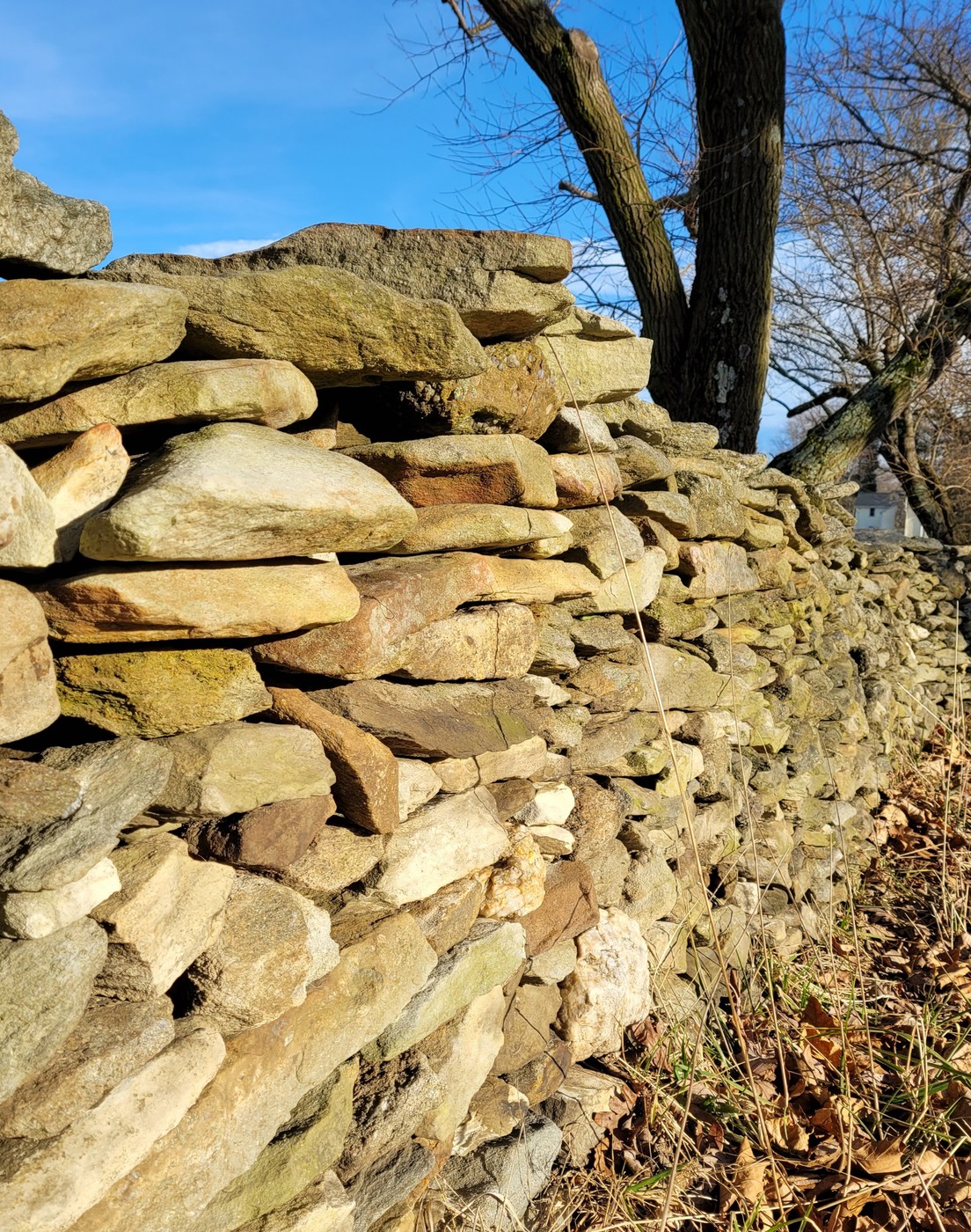 Snickersville Turnpike and Edward Snickers Clio